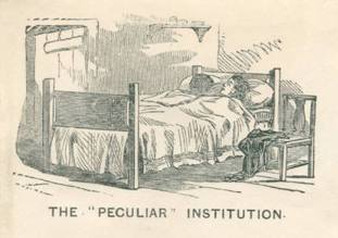 The Peculiar Institution-bed cartoon